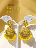 CB025-HALDI